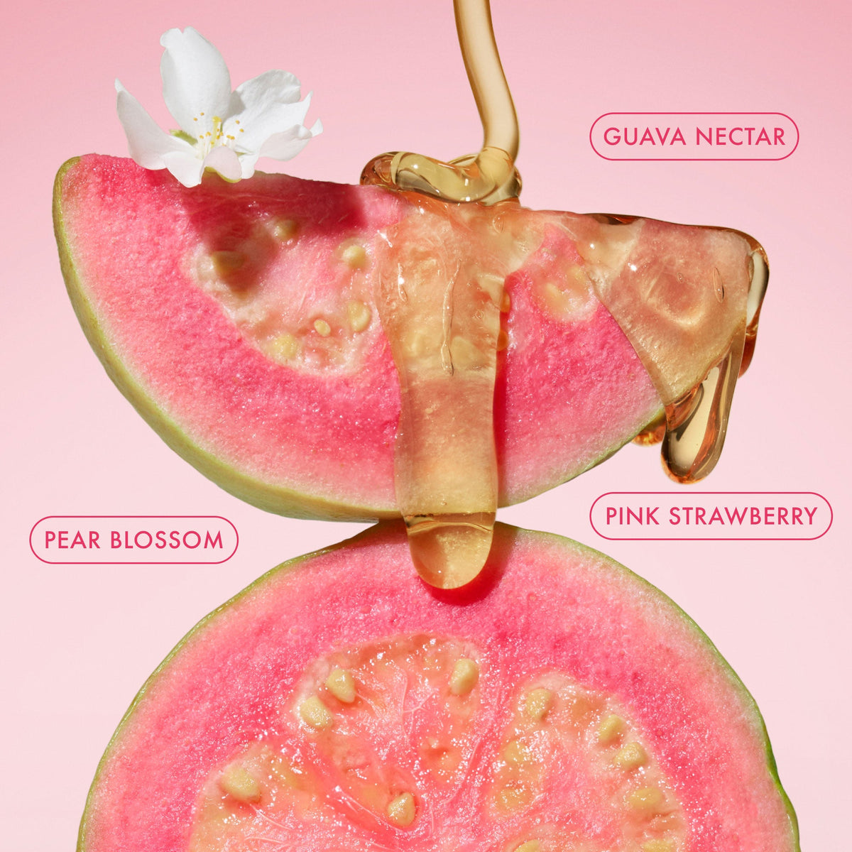 mini-body-butter-trio-u0 BodyButterBalmPinkGuava_3.jpg