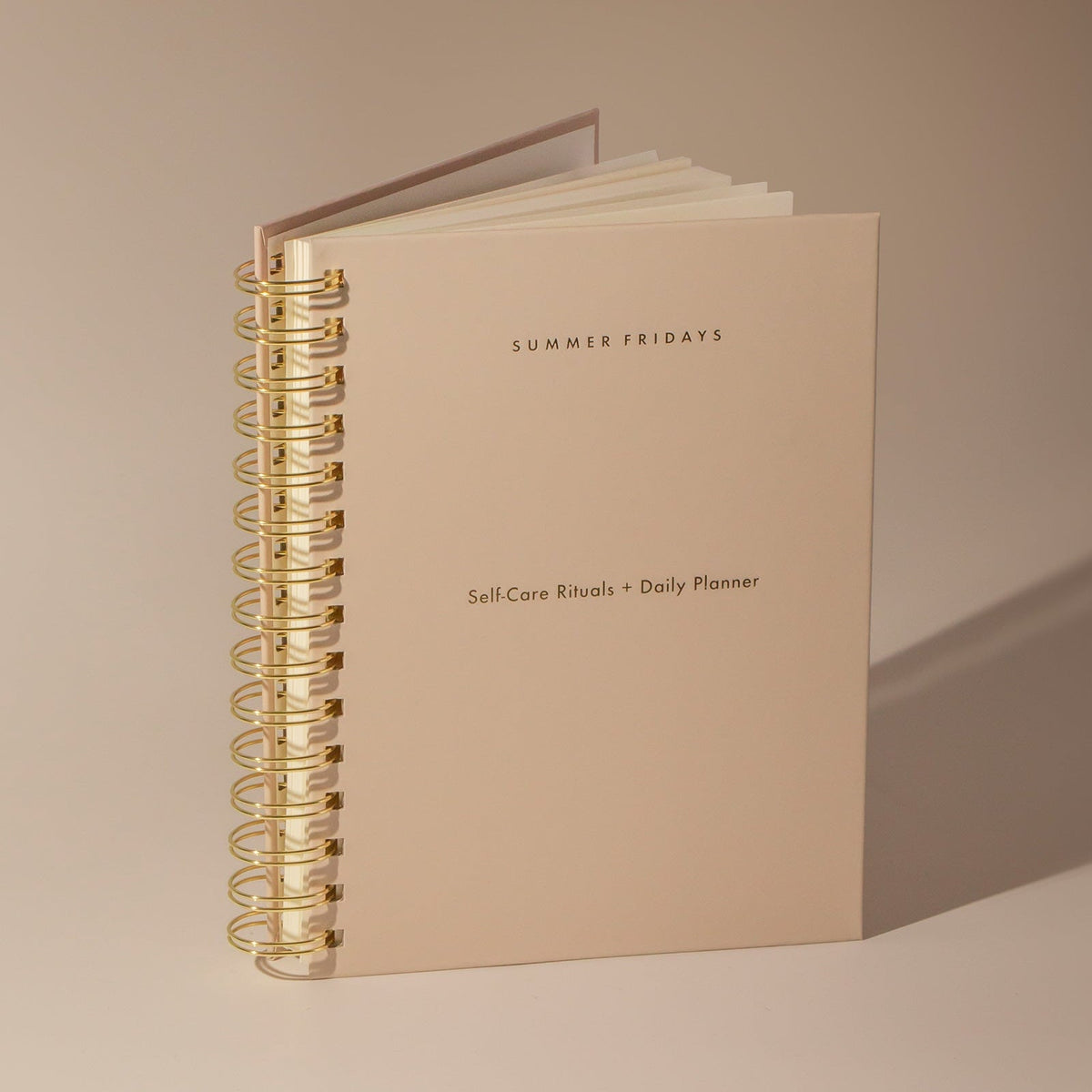 self-care-rituals-daily-planner-e7 Planner-Main-V2.jpg