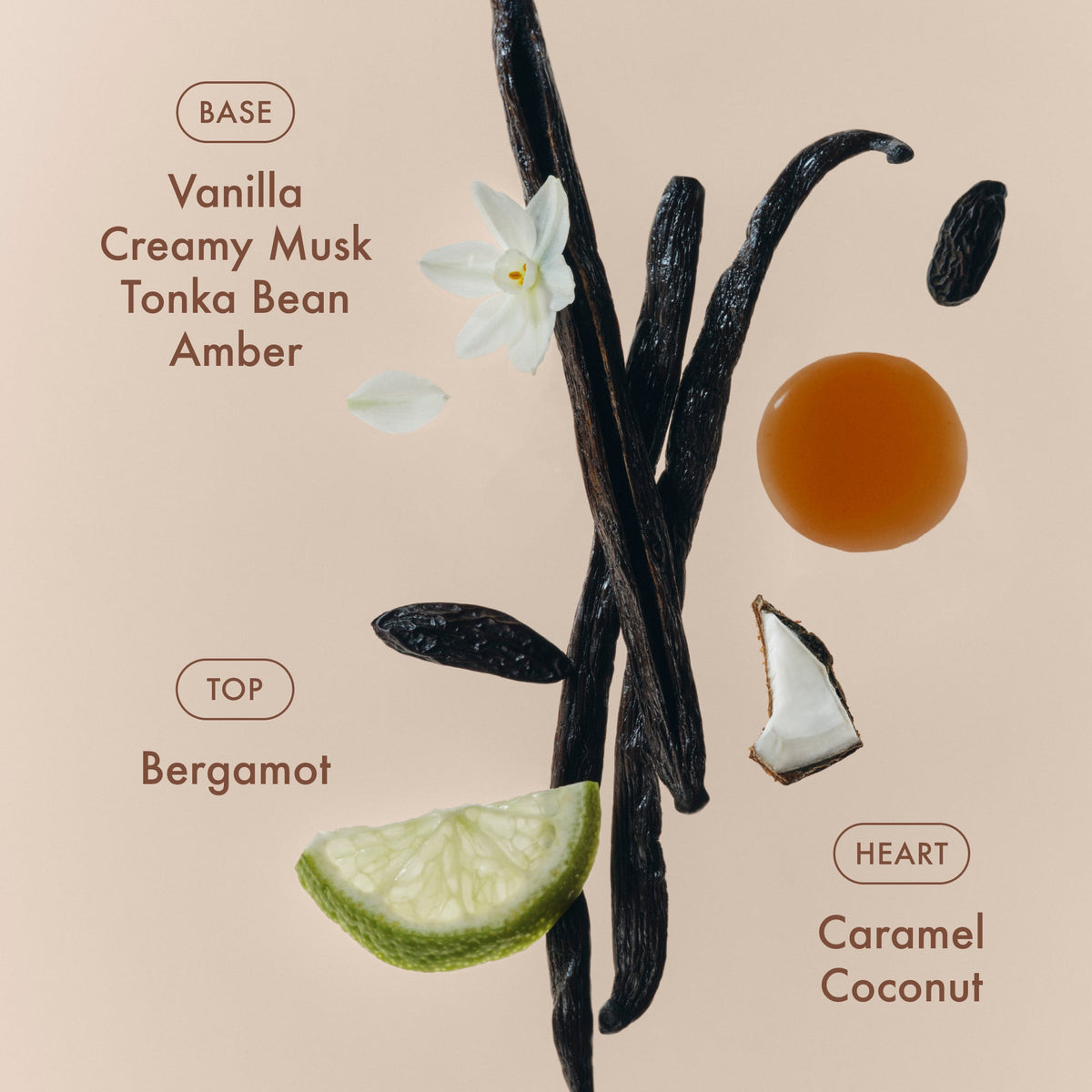 sunlit-vanillatm-eau-de-parfum-q5 SunlitVanilla_4.jpg